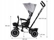 Multifunktsionaalne kolmerattaline tõukeratas Tiny Bike 3in1, hall hind ja info | Kolmerattalised jalgrattad | kaup24.ee
