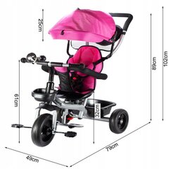 Multifunktsionaalne kolmerattaline tõukeratas MalPlay Pink, roosa цена и информация | Трехколесные велосипеды | kaup24.ee