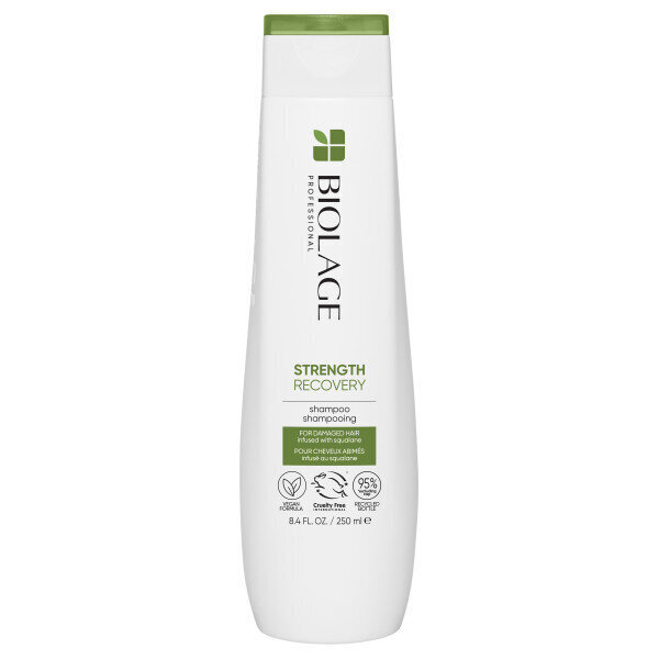 Šampoon Matrix Biolage Strength Recovery, 250 ml цена и информация | Šampoonid | kaup24.ee