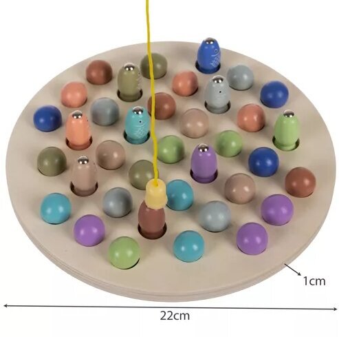 Magnetiga kalapüügimäng цена и информация | Arendavad mänguasjad | kaup24.ee
