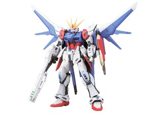 Сборная Gunpla модель. Bandai - RG Build Strike Gundam Full Package, 1/144, 63084 цена и информация | Конструкторы и кубики | kaup24.ee
