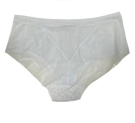 Aluspüksid naistele Lanny Mode 52108, valge hind ja info | Naiste aluspüksid | kaup24.ee
