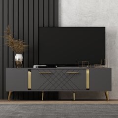 TV stalas Detas - Anthracite, Gold цена и информация | Тумбы под телевизор | kaup24.ee