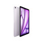 iPad Air 11" M2 Wi-Fi + Cellular 128GB - Purple - MUXG3HC/A цена и информация | Tahvelarvutid | kaup24.ee