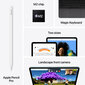 iPad Air 11" M2 Wi-Fi + Cellular 512GB - Starlight - MUXP3HC/A цена и информация | Tahvelarvutid | kaup24.ee