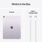 iPad Air 13" M2 Wi-Fi 256GB - Purple - MV2H3HC/A цена и информация | Tahvelarvutid | kaup24.ee