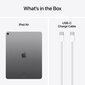 iPad Air 13" M2 Wi-Fi + Cellular 256GB - Space Grey - MV6V3HC/A цена и информация | Tahvelarvutid | kaup24.ee