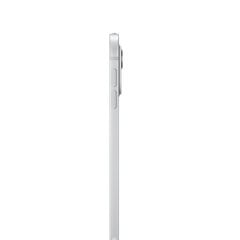 iPad Pro 11" M4 Wi-Fi 256GB with Standard glass - Silver - MVV93HC/A цена и информация | Планшеты | kaup24.ee