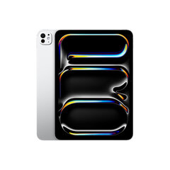 11-inch iPad Pro WiFi 512GB with Standard glass - Silver MVVD3HC/A hind ja info | Tahvelarvutid | kaup24.ee