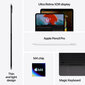 iPad Pro 11" M4 Wi-Fi 512GB with Standard glass - Silver - MVVD3HC/A цена и информация | Tahvelarvutid | kaup24.ee