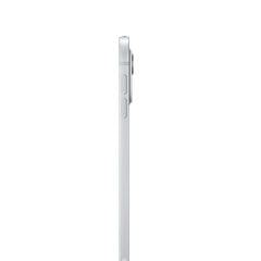 iPad Pro 11" M4 Wi-Fi 1TB with Standard glass - Silver - MVVF3HC/A цена и информация | для планшетов | kaup24.ee