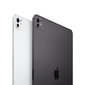iPad Pro 11" M4 Wi-Fi 2TB with Standard glass - Silver - MVVH3HC/A цена и информация | Tahvelarvutid | kaup24.ee