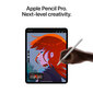 iPad Pro 11" M4 Wi-Fi + Cellular 256GB with Standard glass - Silver - MVW23HC/A hind ja info | Tahvelarvutid | kaup24.ee