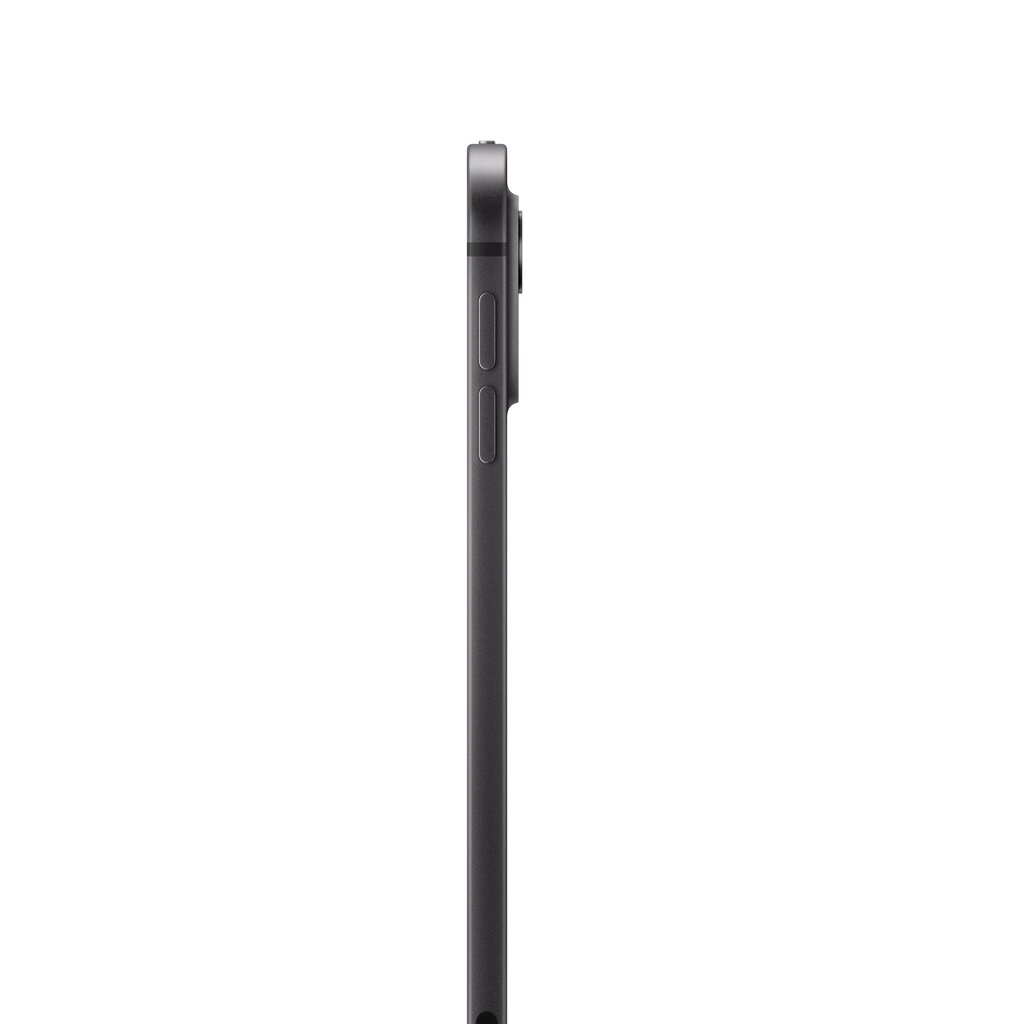 iPad Pro 11" M4 Wi-Fi + Cellular 256GB with Standard glass - Space Black - MVW13HC/A hind ja info | Tahvelarvutid | kaup24.ee
