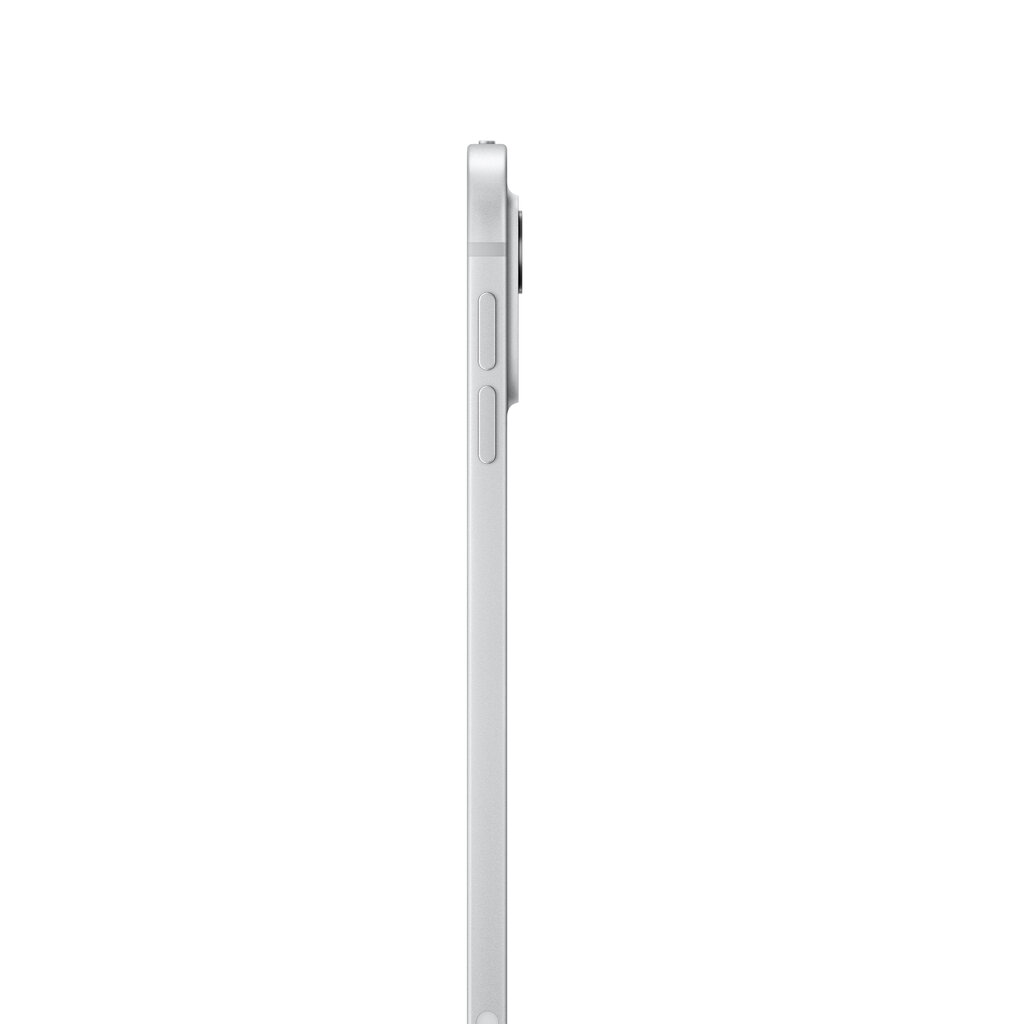 iPad Pro 11" M4 Wi-Fi + Cellular 1TB with Nano-texture Glass - Silver - MWRQ3HC/A hind ja info | Tahvelarvutid | kaup24.ee