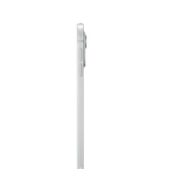 iPad Pro 11" M4 Wi-Fi + Cellular 2TB with Standard glass - Silver - MVW83HC/A цена и информация | для планшетов | kaup24.ee