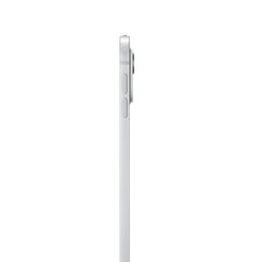 iPad Pro 13" M4 Wi-Fi 256GB with Standard glass - Silver - MVX33HC/A цена и информация | Планшеты | kaup24.ee