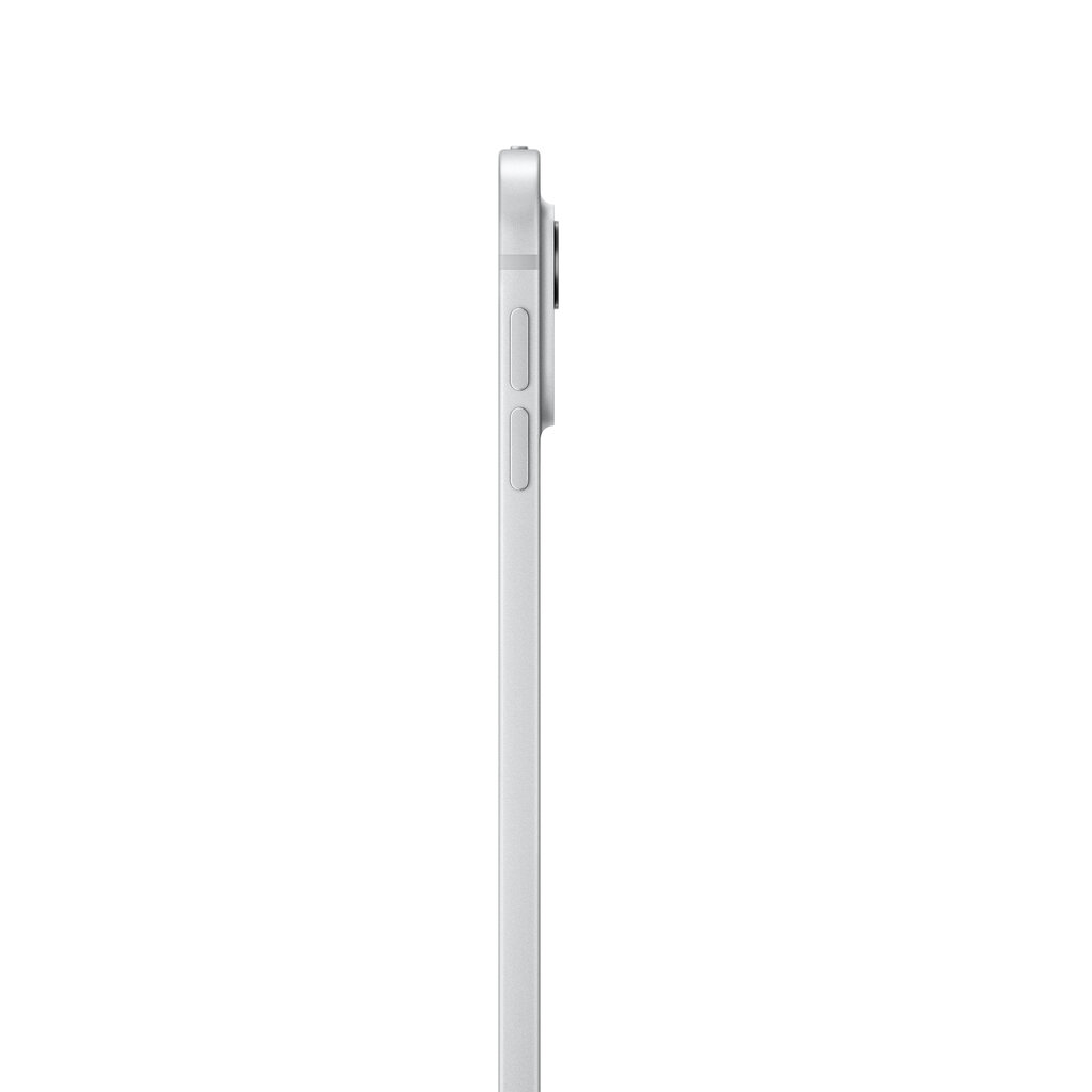 iPad Pro 13" M4 Wi-Fi 1TB with Standard glass - Silver - MVX73HC/A цена и информация | Tahvelarvutid | kaup24.ee