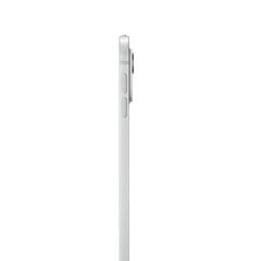 13-дюймов iPad Pro WiFi 1ТБ со стеклом с нанотекстурой - Серебро MWRG3HC/A цена и информация | Планшеты | kaup24.ee