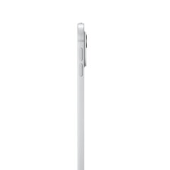 iPad Pro Wi-Fi, 13 дюймов, 2 ТБ, со стандартным стеклом, серебристый MVX93HC/A цена и информация | Планшеты | kaup24.ee