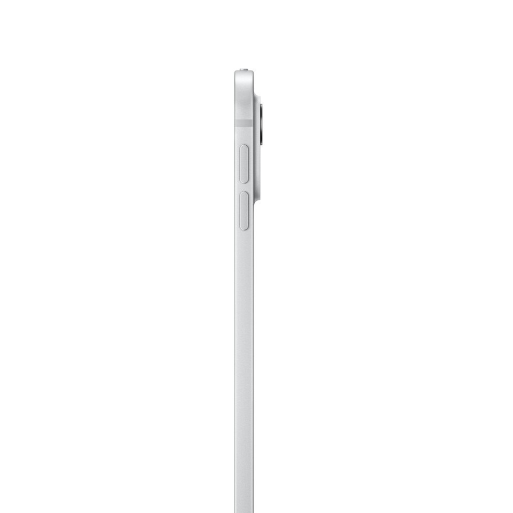 iPad Pro 13" M4 Wi-Fi + Cellular 2TB with Nano-texture Glass - Silver - MWT23HC/A hind ja info | Tahvelarvutid | kaup24.ee