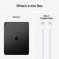 iPad Pro 13" M4 Wi-Fi 1TB with Nano-texture Glass - Space Black - MWRF3HC/A hind ja info | Tahvelarvutid | kaup24.ee