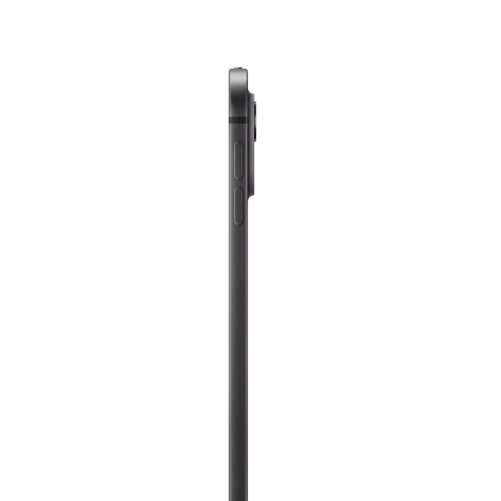 iPad Pro 13" M4 Wi-Fi 2TB with Standard glass - Space Black - MVX83HC/A цена и информация | Tahvelarvutid | kaup24.ee