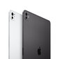 iPad Pro 13" M4 Wi-Fi 2TB with Standard glass - Space Black - MVX83HC/A цена и информация | Tahvelarvutid | kaup24.ee