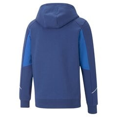 Puma Джемпер Evostripe Full-Zip Mint 847401 50 847401 50/M цена и информация | Мужские толстовки | kaup24.ee