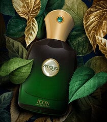 Парфюмированная вода Zimaya Icon EDP для мужчин, 100 мл цена и информация | Мужские духи | kaup24.ee