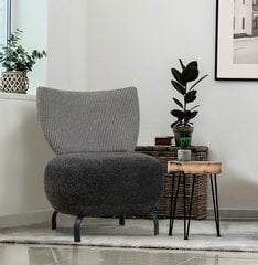 Кресло Asir Loly, серый цена и информация | Кресла в гостиную | kaup24.ee