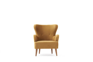 Кресло Asir Karina, золотое цена и информация | Кресла в гостиную | kaup24.ee