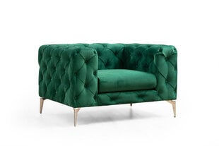 Кресло Asir Como, зеленый цена и информация | Кресла в гостиную | kaup24.ee