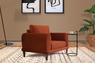Кресло Asir Nero NQ6-168, оранжевый цена и информация | Кресла в гостиную | kaup24.ee