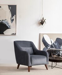 Кресло Asir Buhara, серое цена и информация | Кресла в гостиную | kaup24.ee