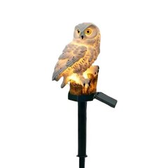 Deal Owl aialamp hind ja info | Laualambid | kaup24.ee