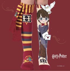 Värvilised sokid Harry Potter hind ja info | Tüdrukute sukkpüksid ja sokid | kaup24.ee