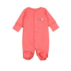 Комбинезон для девочки Flamingo, оранжевый цена и информация | Комбинезоны для новорожденных | kaup24.ee