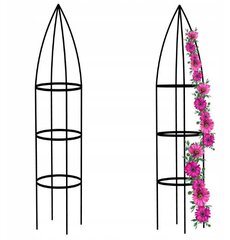 Растительная арка Fluxar home AR312, 195 см цена и информация | Подставки для цветов, держатели для вазонов | kaup24.ee
