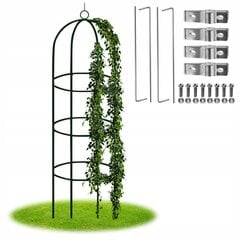 Растительная арка Fluxar home AR318, 190 см цена и информация | Подставки для цветов, держатели для вазонов | kaup24.ee