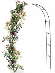 Растительная арка Fluxar home AR309, 240 см цена и информация | Подставки для цветов, держатели для вазонов | kaup24.ee