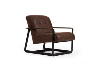 Кресло Asir Darius, коричневый цена и информация | Кресла в гостиную | kaup24.ee