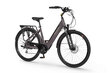 Elektrijalgratas EcoBike X-City Coffee 28", pruun hind ja info | Elektrirattad | kaup24.ee