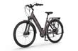 Elektrijalgratas EcoBike X-City Coffee 28", pruun hind ja info | Elektrirattad | kaup24.ee