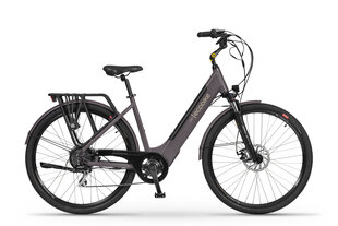 Elektrijalgratas EcoBike X-City Coffee 28", pruun цена и информация | Электровелосипеды | kaup24.ee