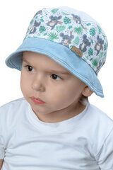 Õhuke müts-panama poistele L3-3959 hind ja info | Poiste mütsid, sallid, kindad | kaup24.ee