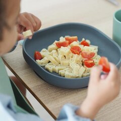 Силиконовая тарелка Beaba, серая цена и информация | Детская посуда, контейнеры для молока и еды | kaup24.ee