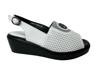 Sandaalid naistele Molo hind ja info | Naiste sandaalid | kaup24.ee