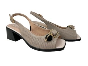 Sandaalid naistele Molo hind ja info | Naiste sandaalid | kaup24.ee