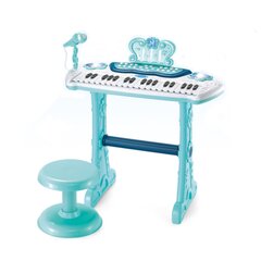 Klaver mikrofoniga hind ja info | Arendavad mänguasjad | kaup24.ee